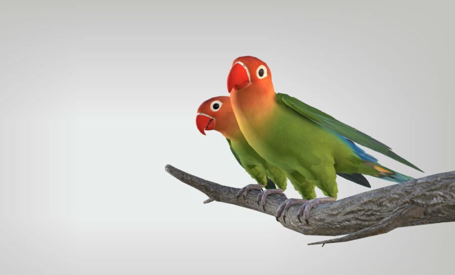 Scrollytelling: transforming digital storytelling with engagement and creativity