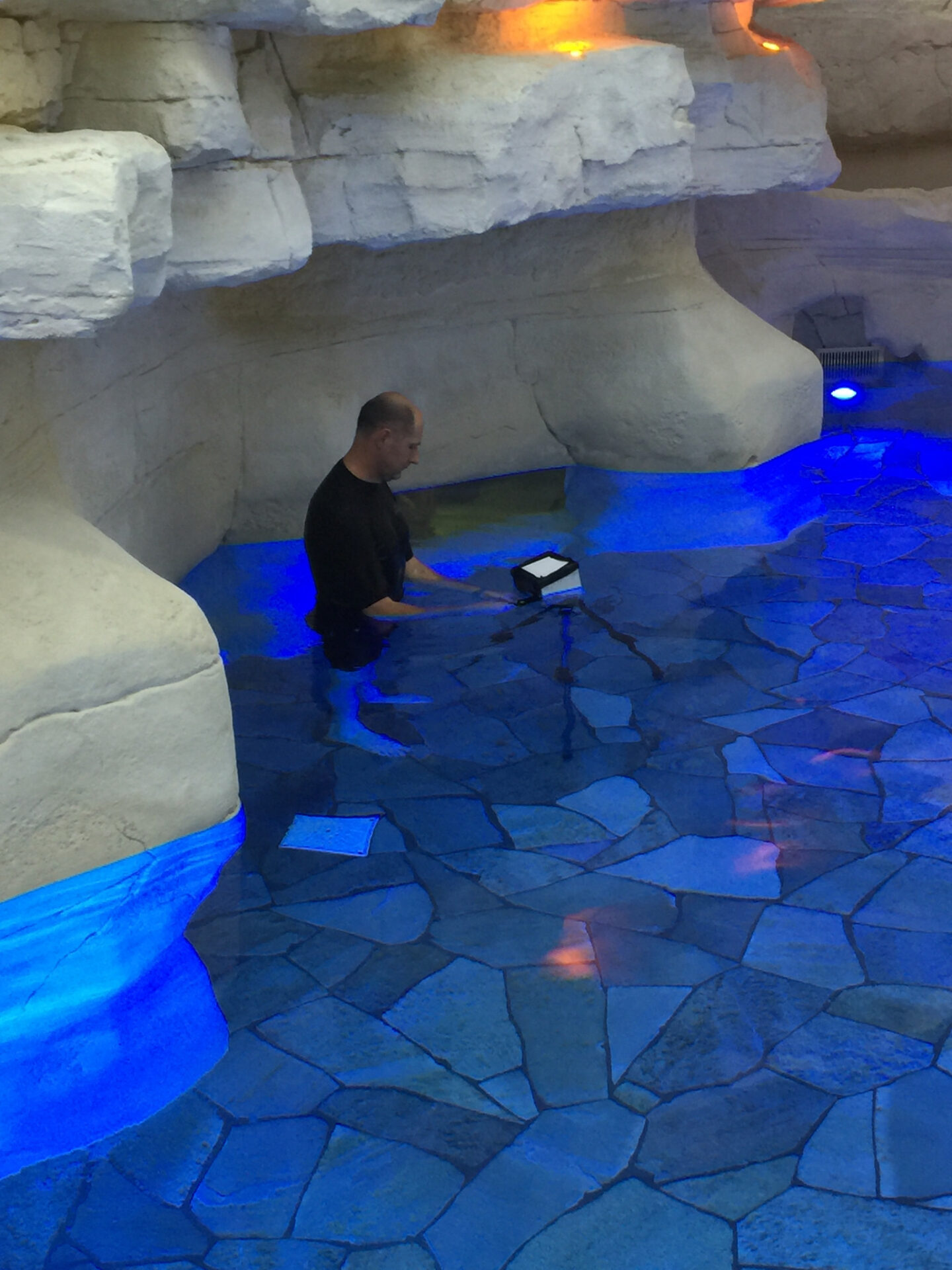 Virtually Visit All 28 Center Parcs in Europe | Poppr Immersive Virtual Tours